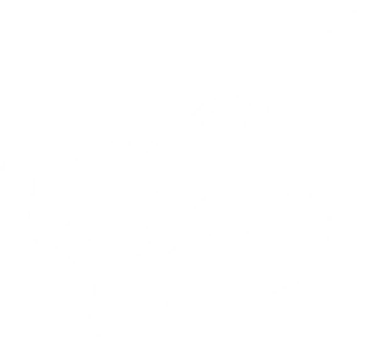 boatboys logo